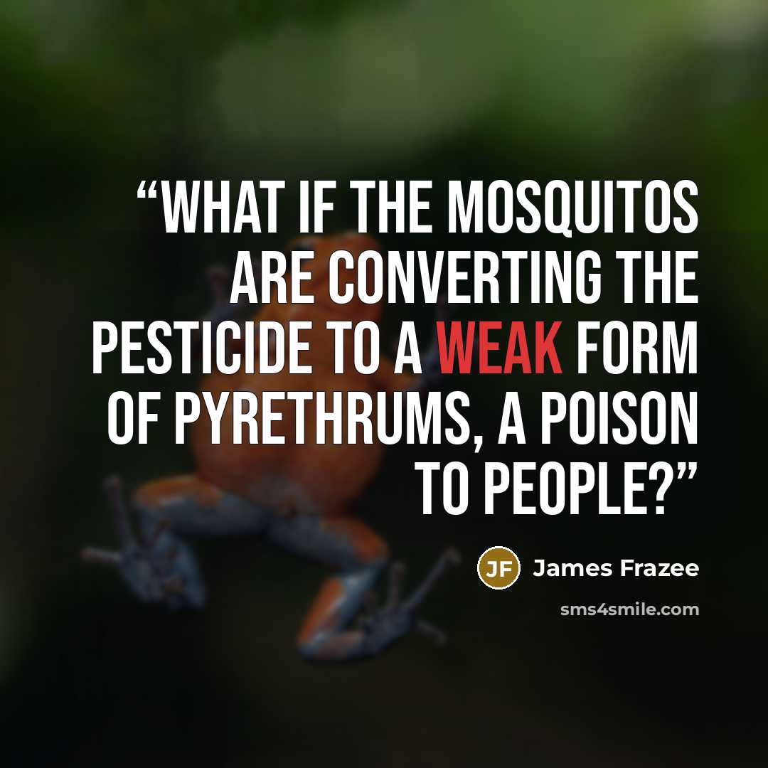 “What if the mosquitos are converting the pesticide to a weak form of pyrethrums, a poison to people?” quote by James Frazee