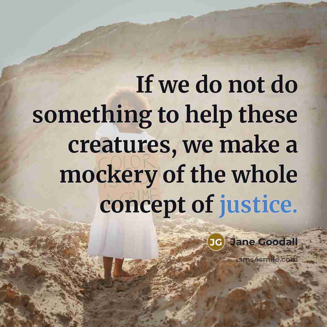 “If we do not do something to help these creatures, we make a mockery of the whole concept of justice.” quote by Jane Goodall