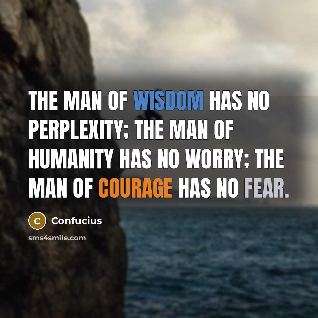 “The man of wisdom has no perplexity; the man of humanity has no worry; the man of courage has no fear.” quote by Confucius