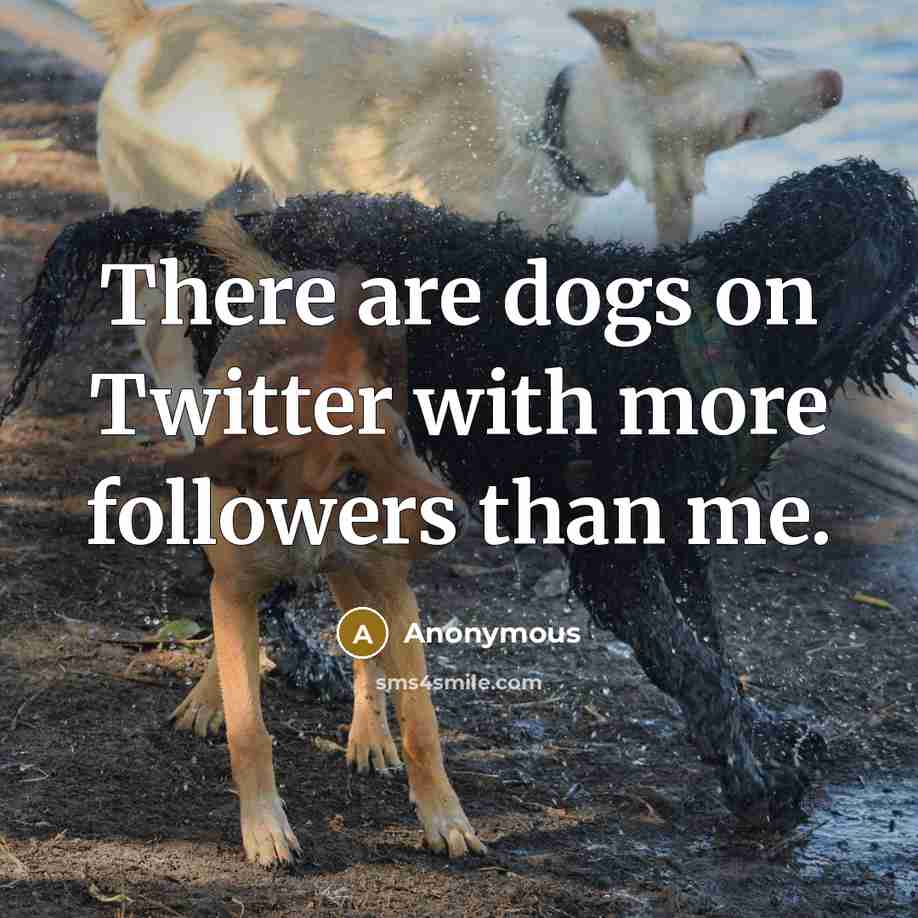 “There are dogs on Twitter with more followers than me.” quote by Anonymous