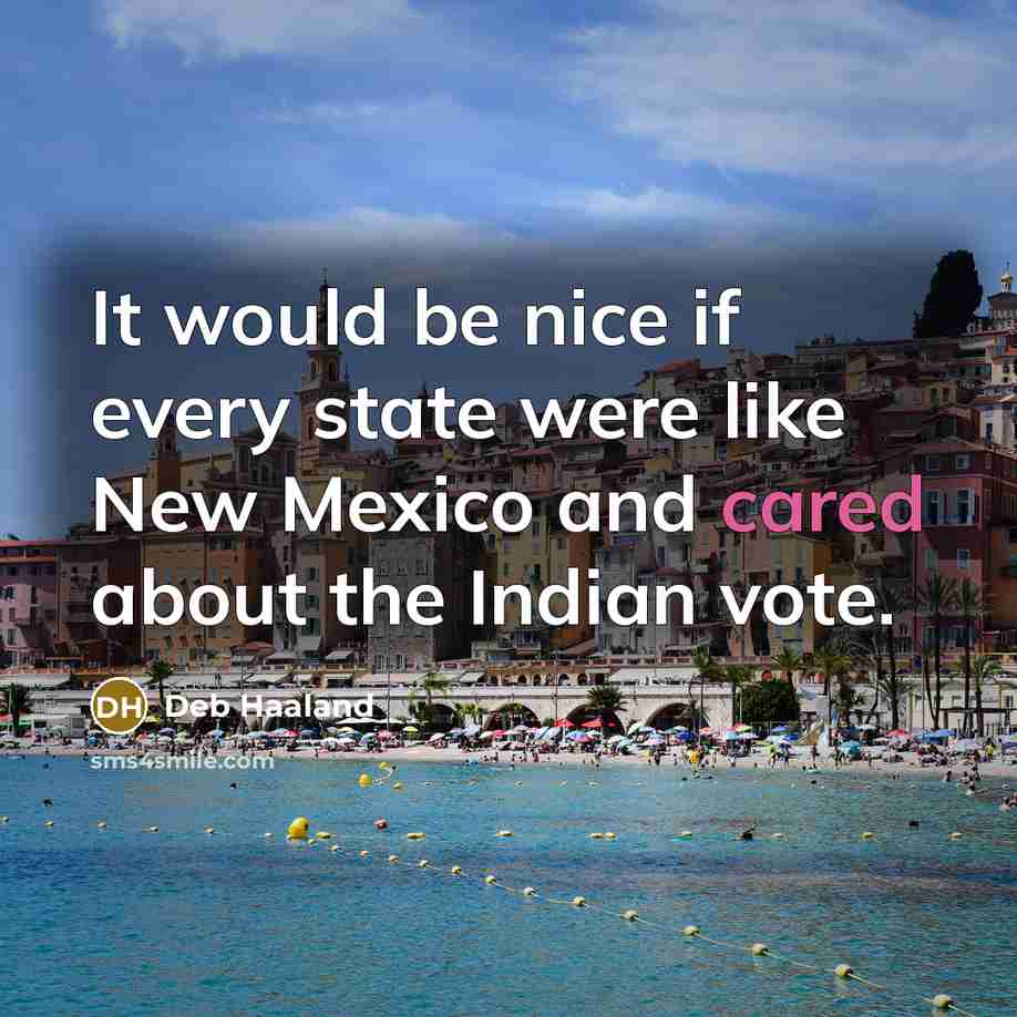 “It would be nice if every state were like New Mexico and cared about the Indian vote.” quote by Deb Haaland