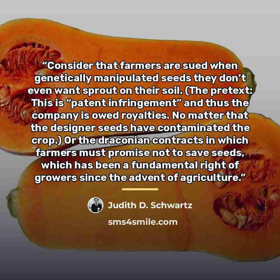 “Consider that farmers are sued when genetically manipulated seeds they don’t even want sprout on their soil. (The pretext: This is “patent infringement” and thus the company is owed royalties. No matter that the designer seeds have contaminated the crop.) Or the draconian contracts in which…” quote by Judith D. Schwartz