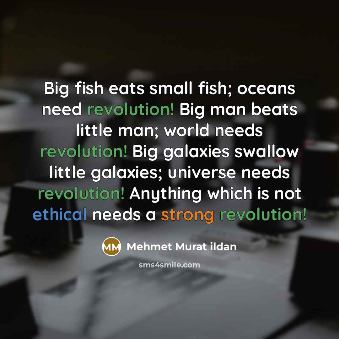 “Big fish eats small fish; oceans need revolution! Big man beats little man; world needs revolution! Big galaxies swallow little galaxies; universe needs revolution! Anything which is not ethical needs a strong revolution!” quote by Mehmet Murat Ildan