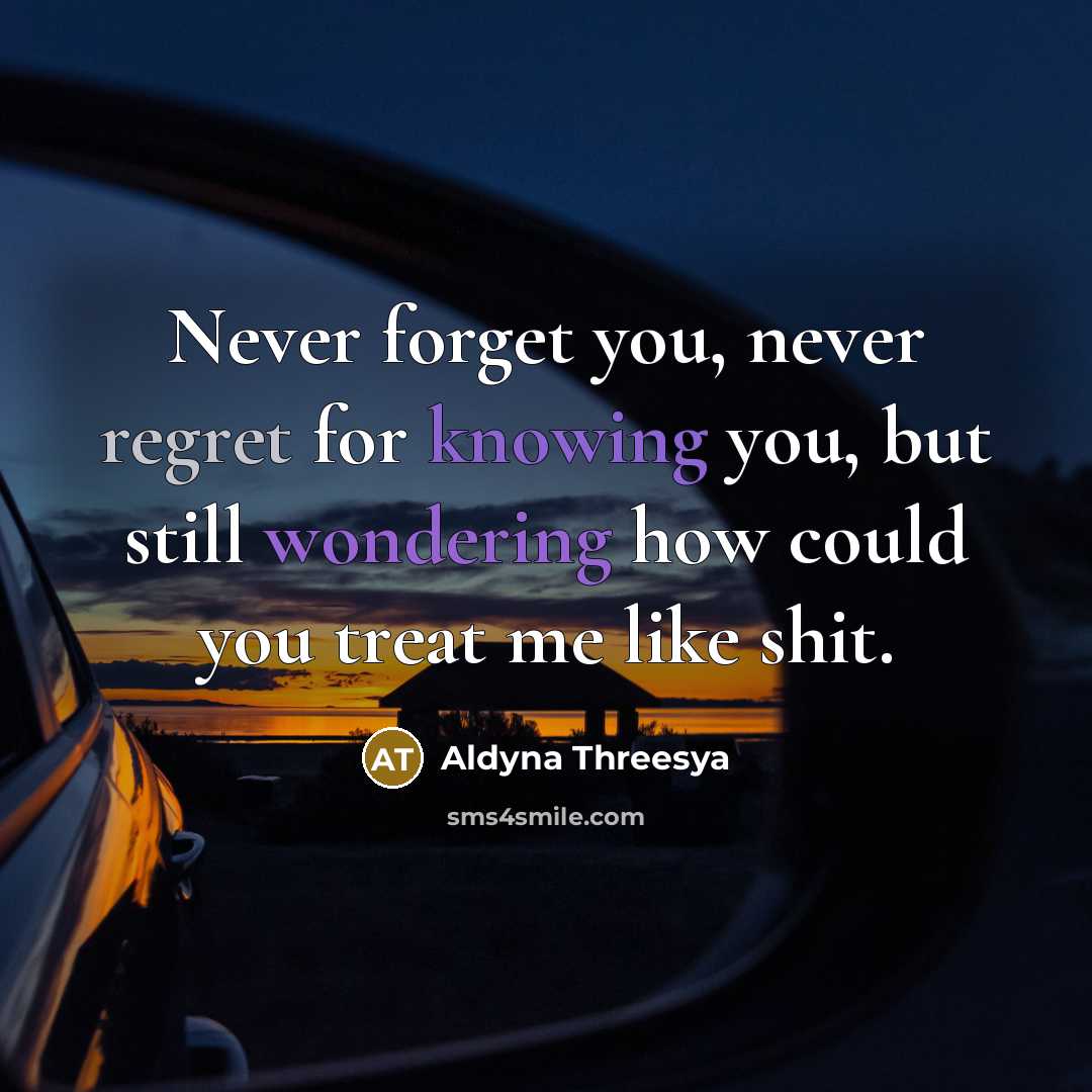 “Never forget you, never regret for knowing you, but still wondering how could you treat me like shit.” quote by Aldyna Threesya