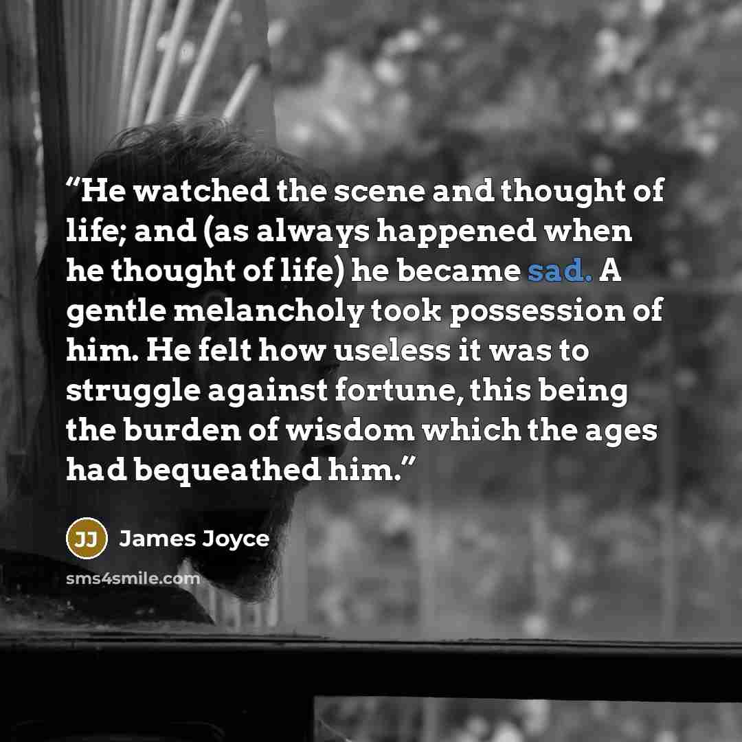 “He watched the scene and thought of life; and (as always happened when he thought of life) he became sad. A gentle melancholy took possession of him. He felt how useless it was to struggle against fortune, this being the burden of wisdom which the ages had bequeathed him.” quote by James Joyce
