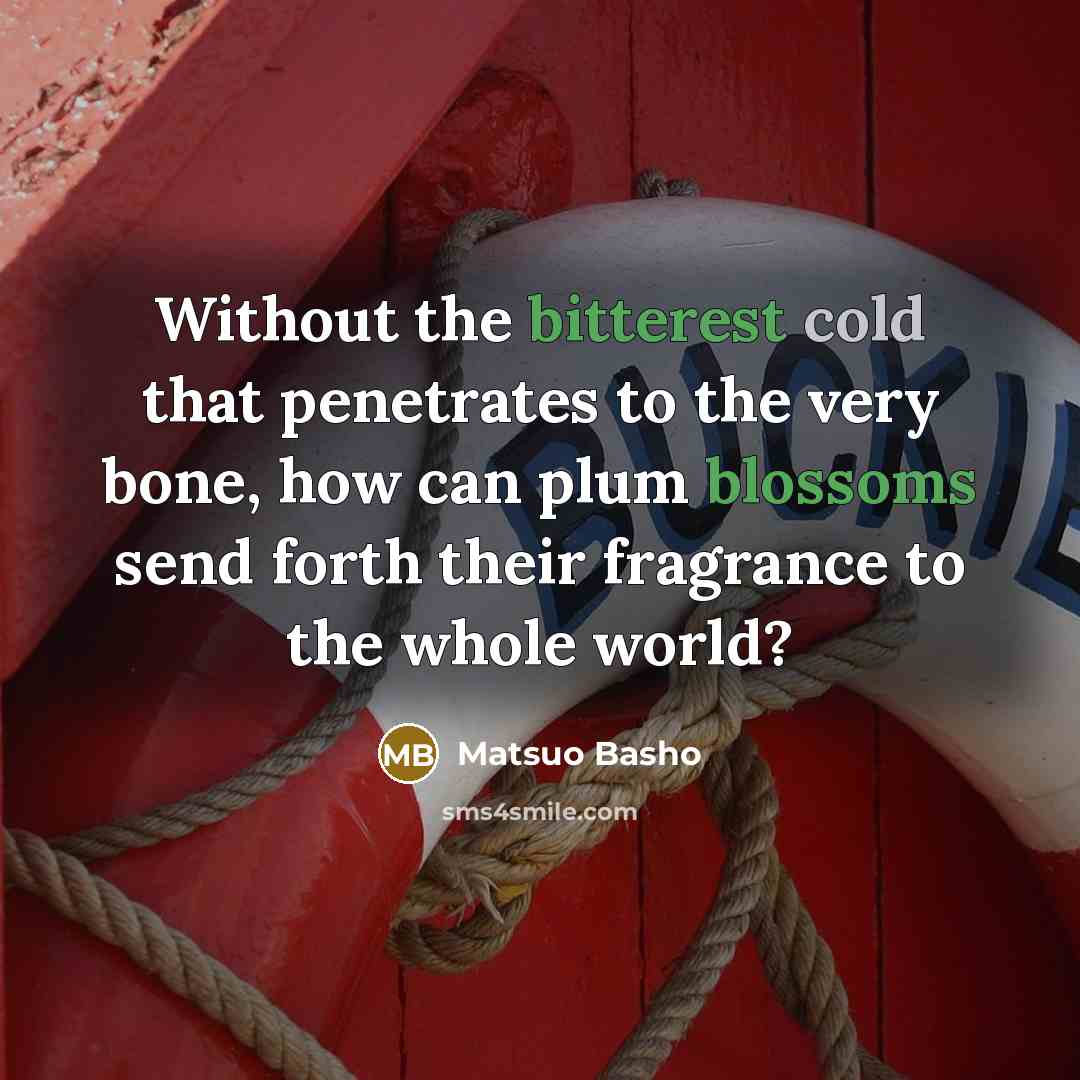 “Without the bitterest cold that penetrates to the very bone, how can plum blossoms send forth their fragrance to the whole world?” quote by Matsuo Basho