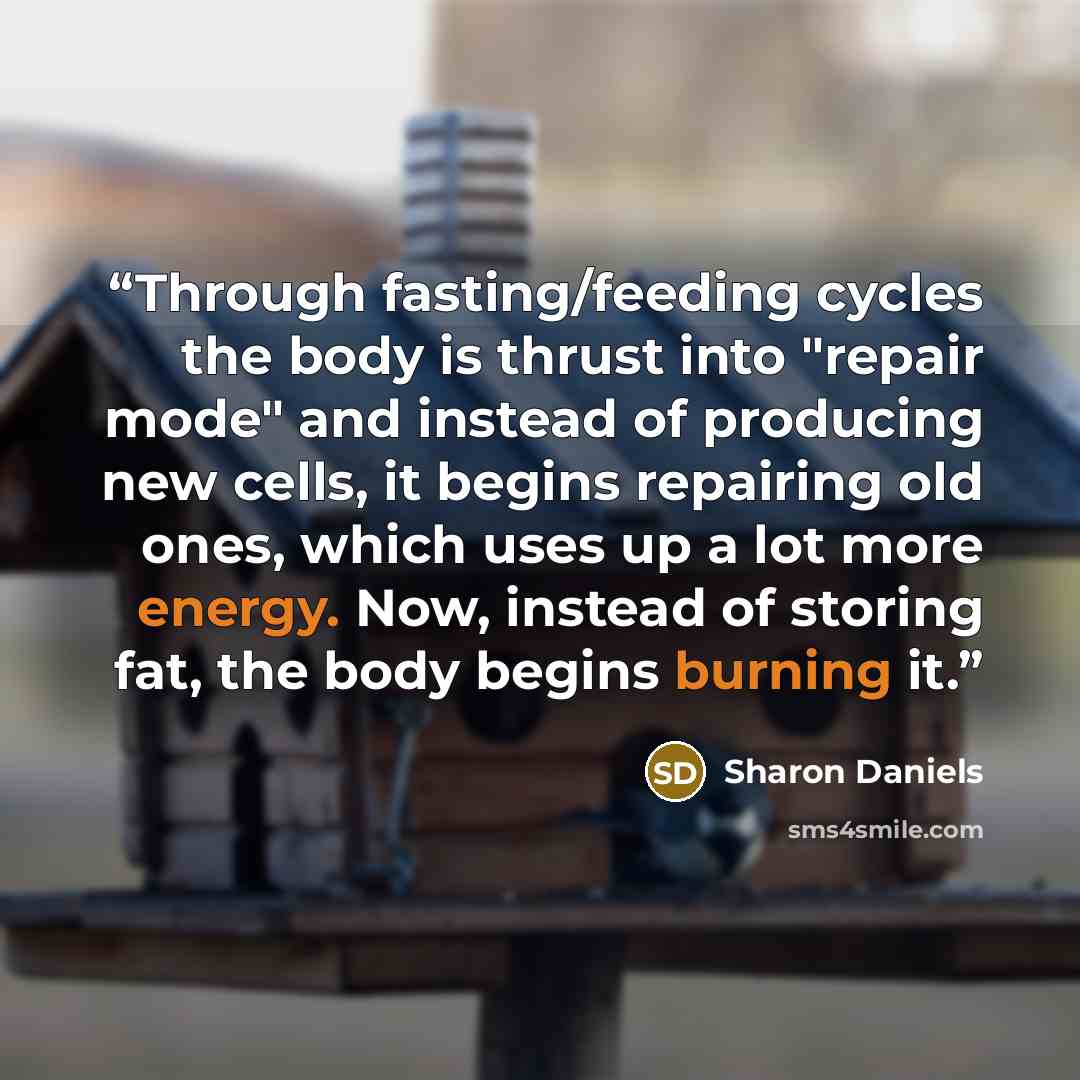 “Through fasting/feeding cycles the body is thrust into "repair mode" and instead of producing new cells, it begins repairing old ones, which uses up a lot more energy. Now, instead of storing fat, the body begins burning it.” quote by Sharon Daniels