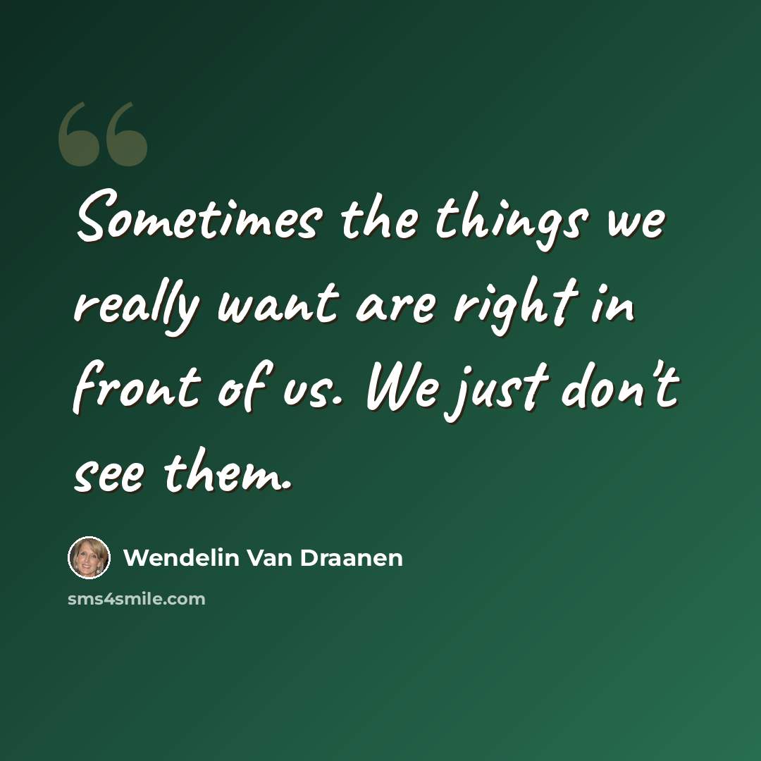 “Sometimes the things we really want are right in front of us. We just don't see them.” quote by Wendelin Van Draanen