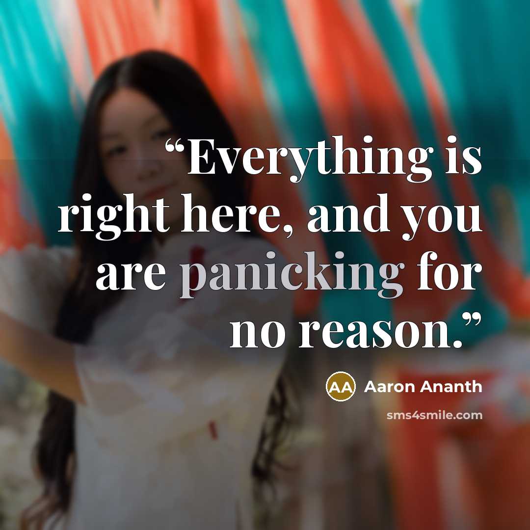 “Everything is right here, and you are panicking for no reason.” quote by Aaron Ananth