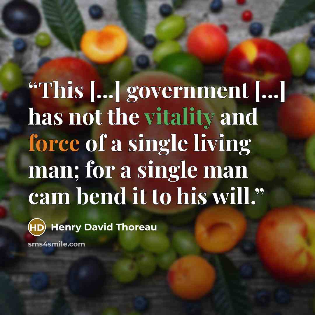 “This [...] government [...] has not the vitality and force of a single living man; for a single man cam bend it to his will.” quote by Henry David Thoreau