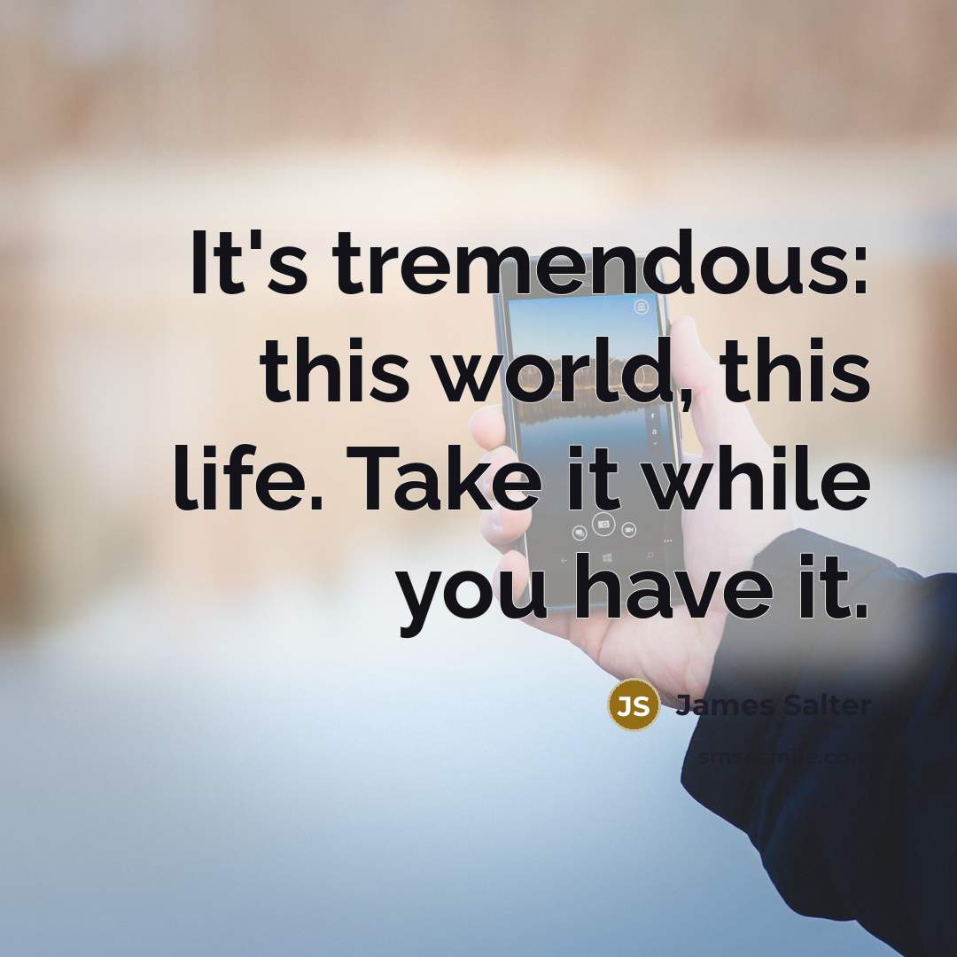 “It's tremendous: this world, this life. Take it while you have it.” quote by James Salter