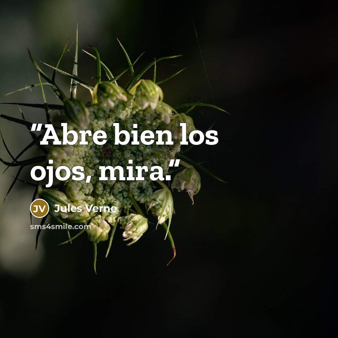 “Abre bien los ojos, mira.” quote by Jules Verne
