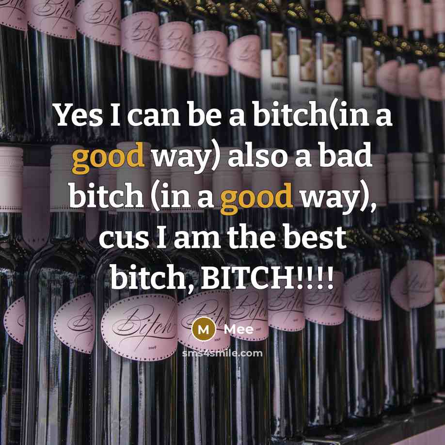 “Yes I can be a bitch(in a good way) also a bad bitch (in a good way), cus I am the best bitch, BITCH!!!!” quote by Mee