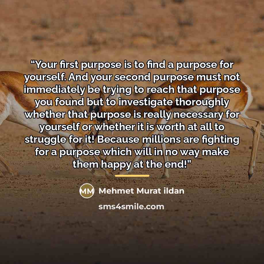 “Your first purpose is to find a purpose for yourself. And your second purpose must not immediately be trying to reach that purpose you found but to investigate thoroughly whether that purpose is really necessary for yourself or whether it is worth at all to struggle for it! Because millions are…” quote by Mehmet Murat ildan