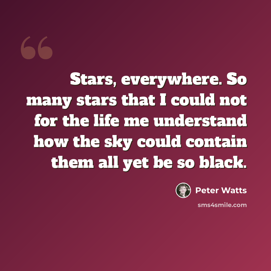 “Stars, everywhere. So many stars that I could not for the life me understand how the sky could contain them all yet be so black.” quote by Peter Watts