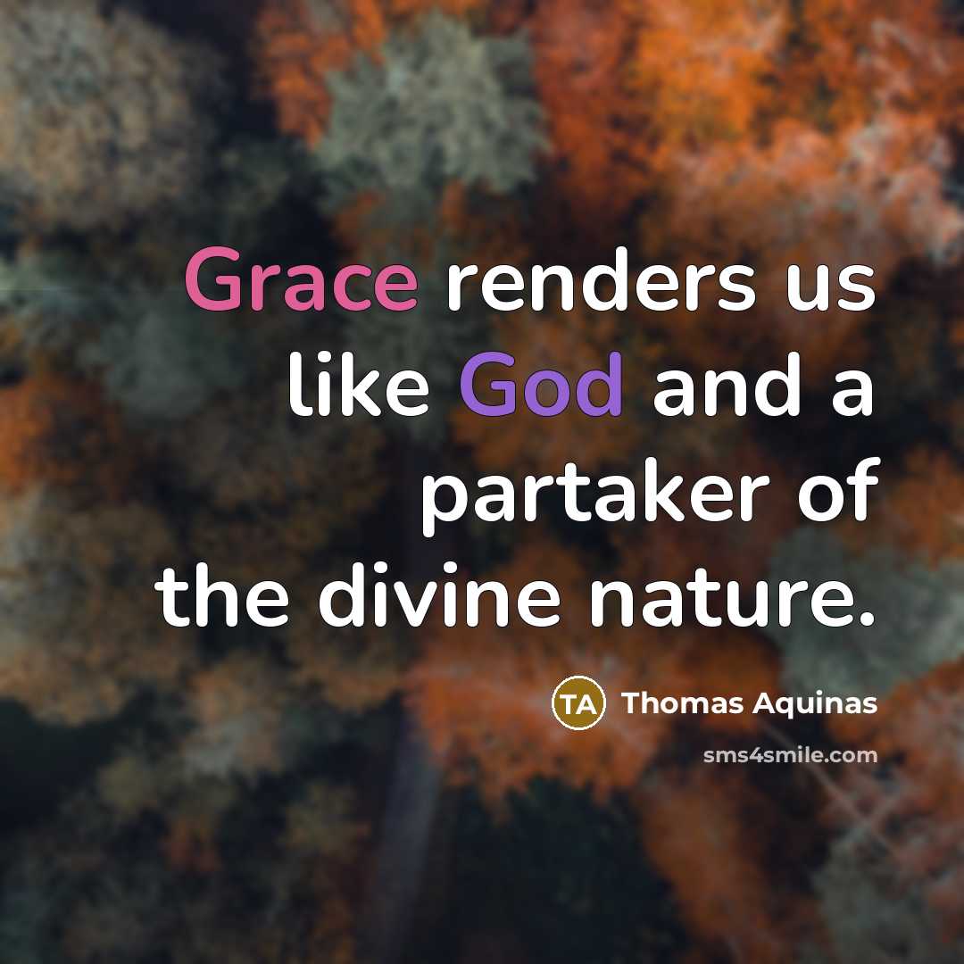 “Grace renders us like God and a partaker of the divine nature.” quote by Thomas Aquinas