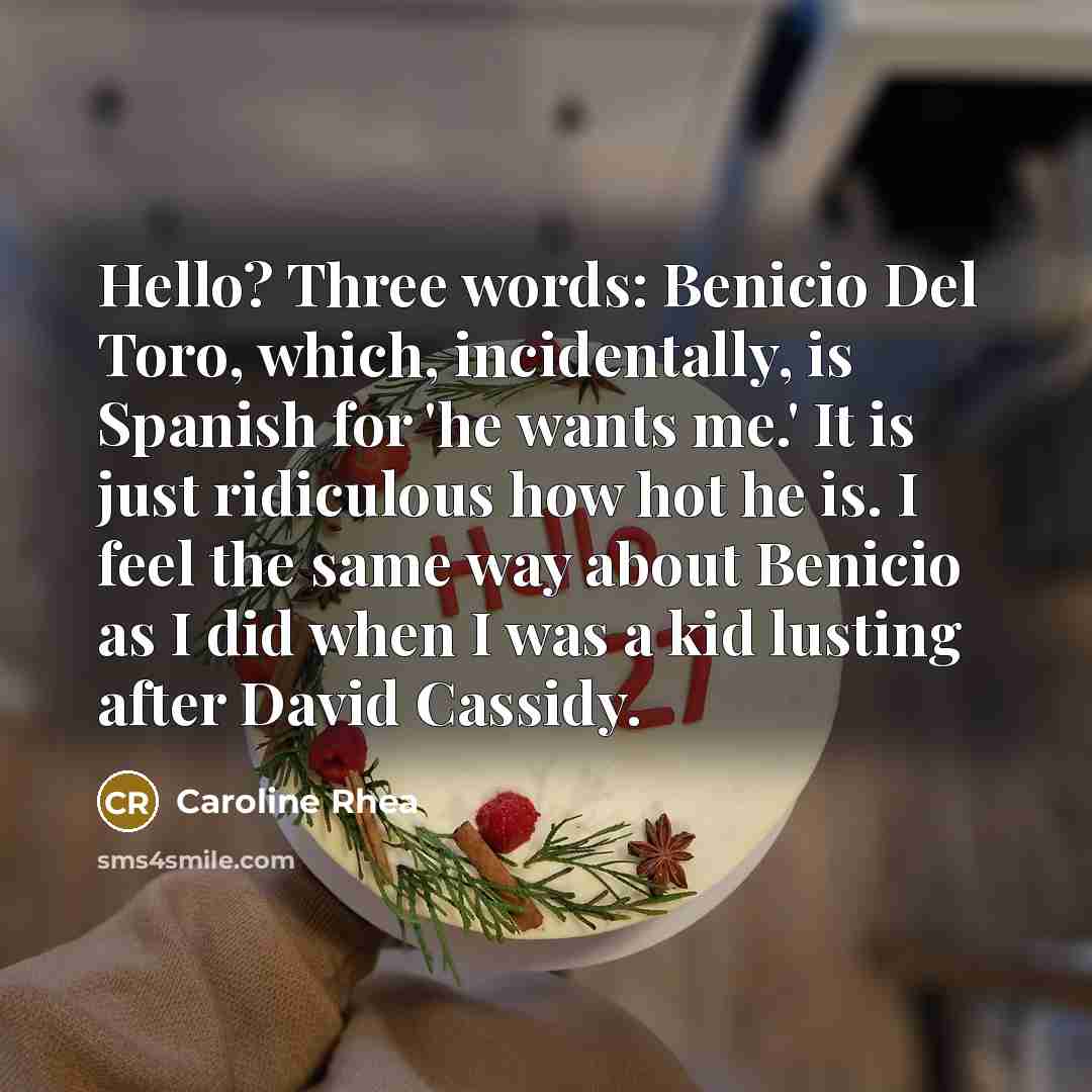 “Hello? Three words: Benicio Del Toro, which, incidentally, is Spanish for 'he wants me.' It is just ridiculous how hot he is. I feel the same way about Benicio as I did when I was a kid lusting after David Cassidy.” quote by Caroline Rhea