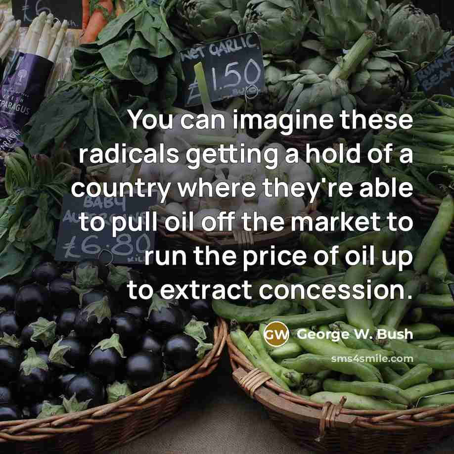 “You can imagine these radicals getting a hold of a country where they're able to pull oil off the market to run the price of oil up to extract concession.” quote by George W. Bush
