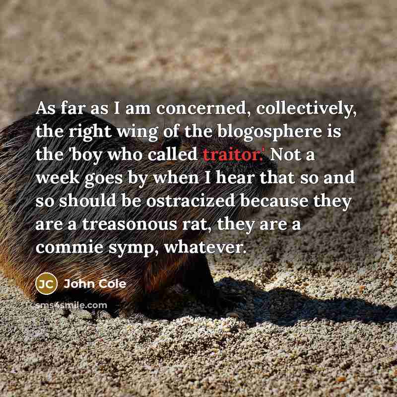 “As far as I am concerned, collectively, the right wing of the blogosphere is the 'boy who called traitor.' Not a week goes by when I hear that so and so should be ostracized because they are a treasonous rat, they are a commie symp, whatever.” quote by John Cole