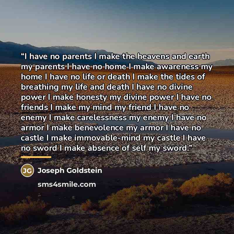 “I have no parents I make the heavens and earth my parents I have no home I make awareness my home I have no life or death I make the tides of breathing my life and death I have no divine power I make honesty my divine power I have no friends I make my mind my friend I have no enemy I make…” quote by Joseph Goldstein