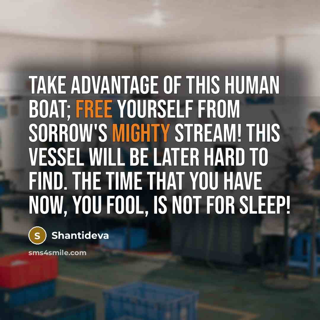 “Take advantage of this human boat; Free yourself from sorrow's mighty stream! This vessel will be later hard to find. The time that you have now, you fool, is not for sleep!” quote by Shantideva