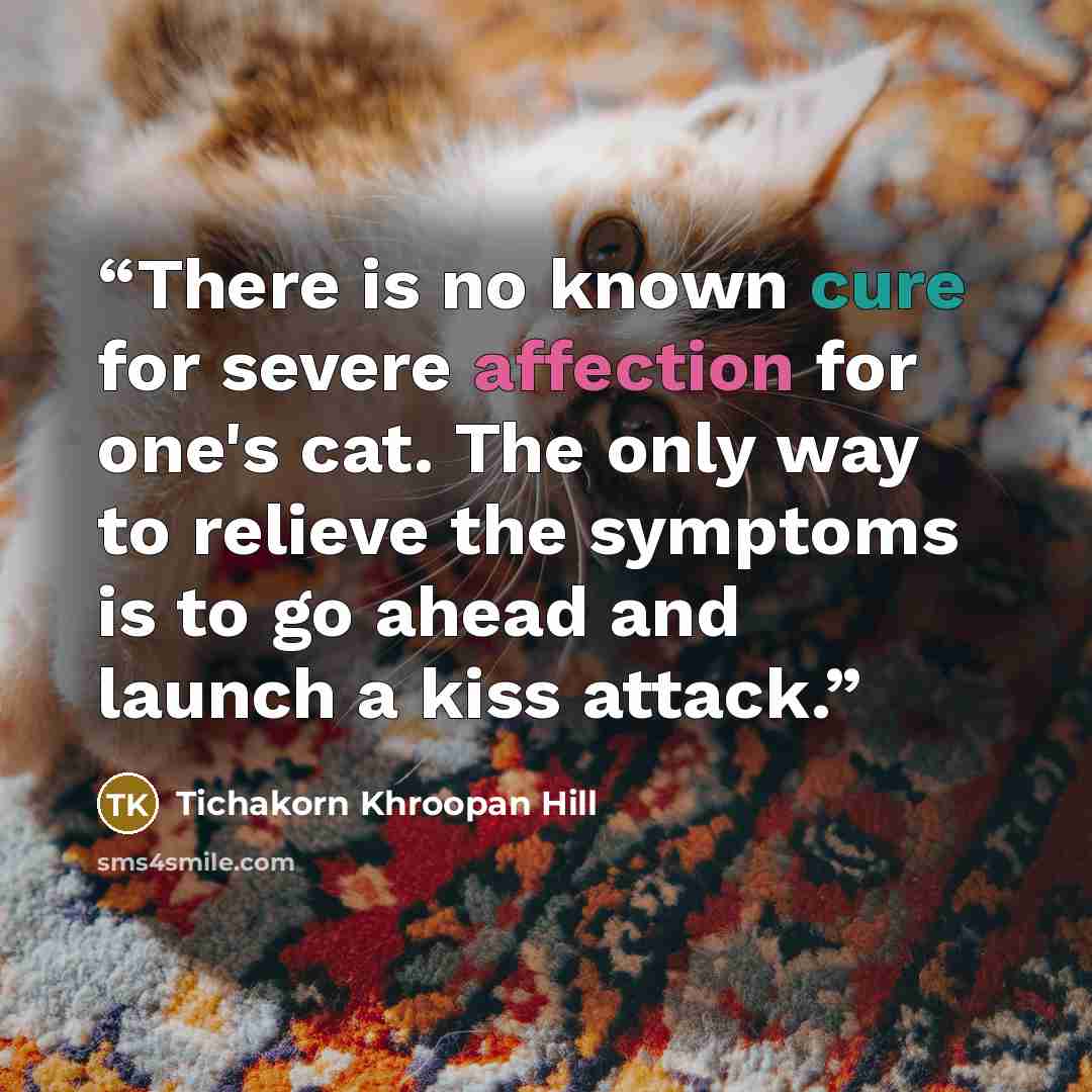 “There is no known cure for severe affection for one's cat. The only way to relieve the symptoms is to go ahead and launch a kiss attack.” quote by Tichakorn Khroopan Hill