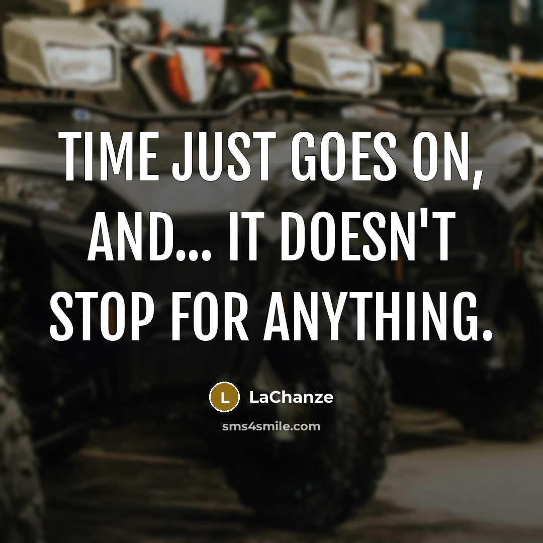 “Time just goes on, and... it doesn't stop for anything.” quote by LaChanze