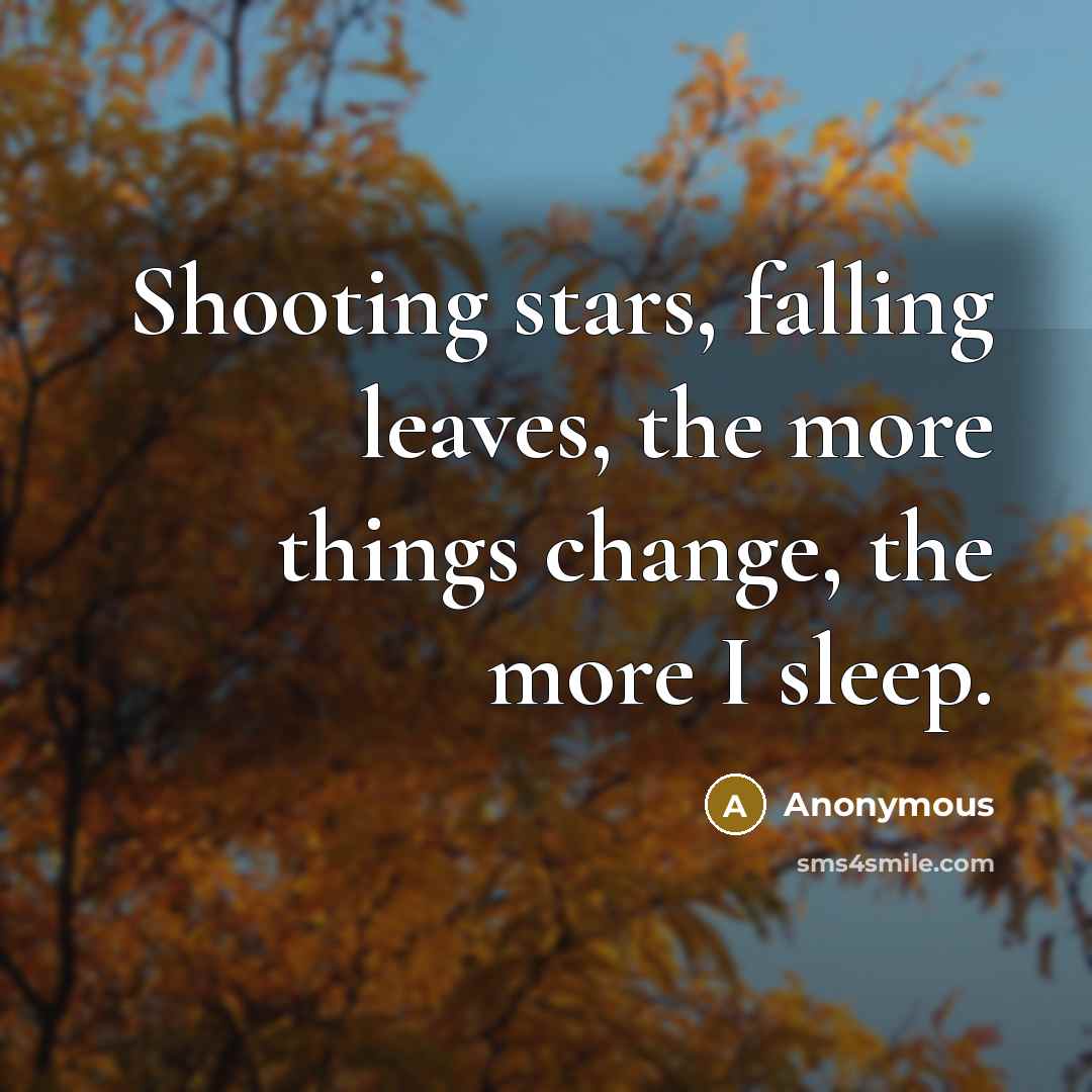 “Shooting stars, falling leaves, the more things change, the more I sleep.” quote by Anonymous