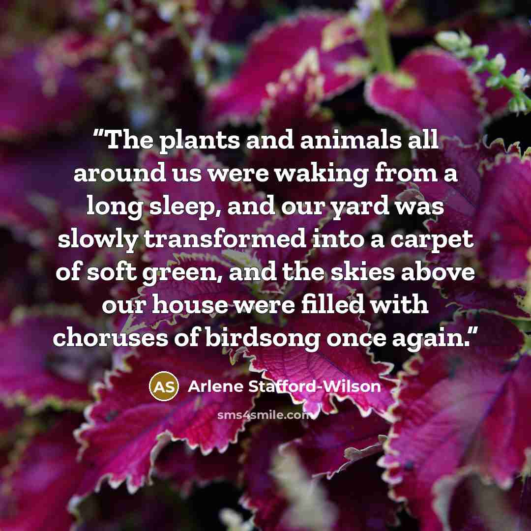 “The plants and animals all around us were waking from a long sleep, and our yard was slowly transformed into a carpet of soft green, and the skies above our house were filled with choruses of birdsong once again.” quote by Arlene Stafford-Wilson