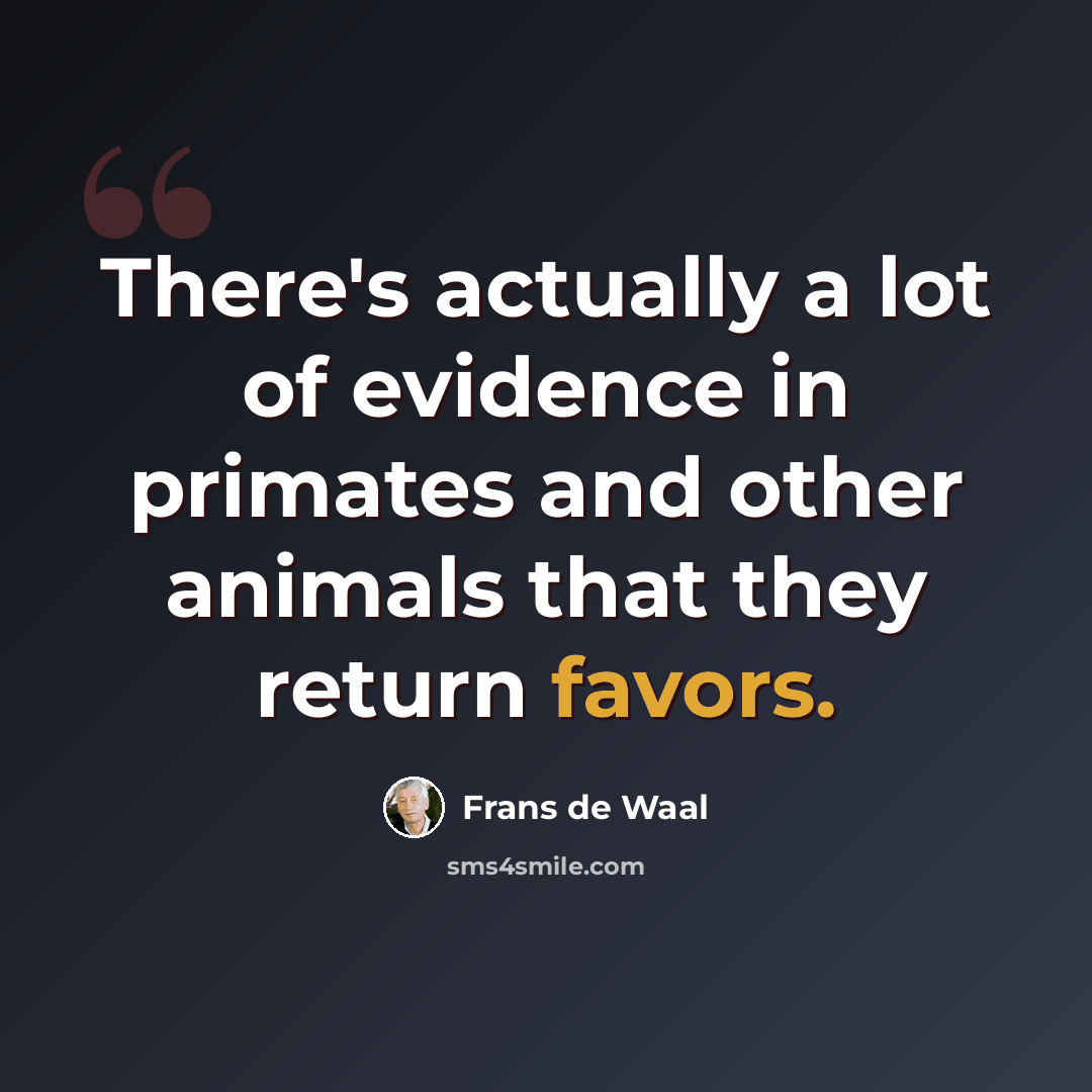 “There's actually a lot of evidence in primates and other animals that they return favors.” quote by Frans de Waal