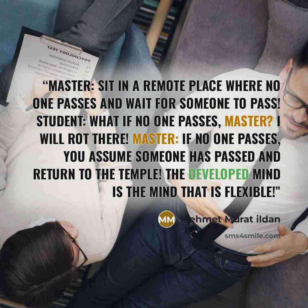 “Master: Sit in a remote place where no one passes and wait for someone to pass! Student: What if no one passes, master? I will rot there! Master: If no one passes, you assume someone has passed and return to the temple! The developed mind is the mind that is flexible!” quote by Mehmet Murat ildan