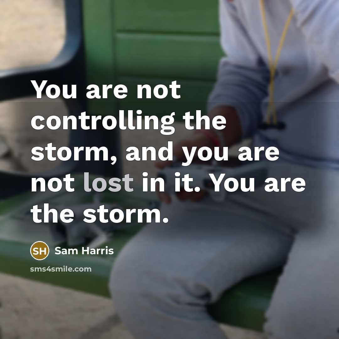 “You are not controlling the storm, and you are not lost in it. You are the storm.” quote by Sam Harris