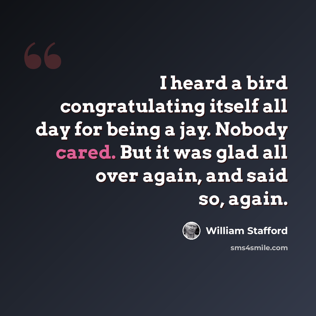 “I heard a bird congratulating itself all day for being a jay. Nobody cared. But it was glad all over again, and said so, again.” quote by William Stafford
