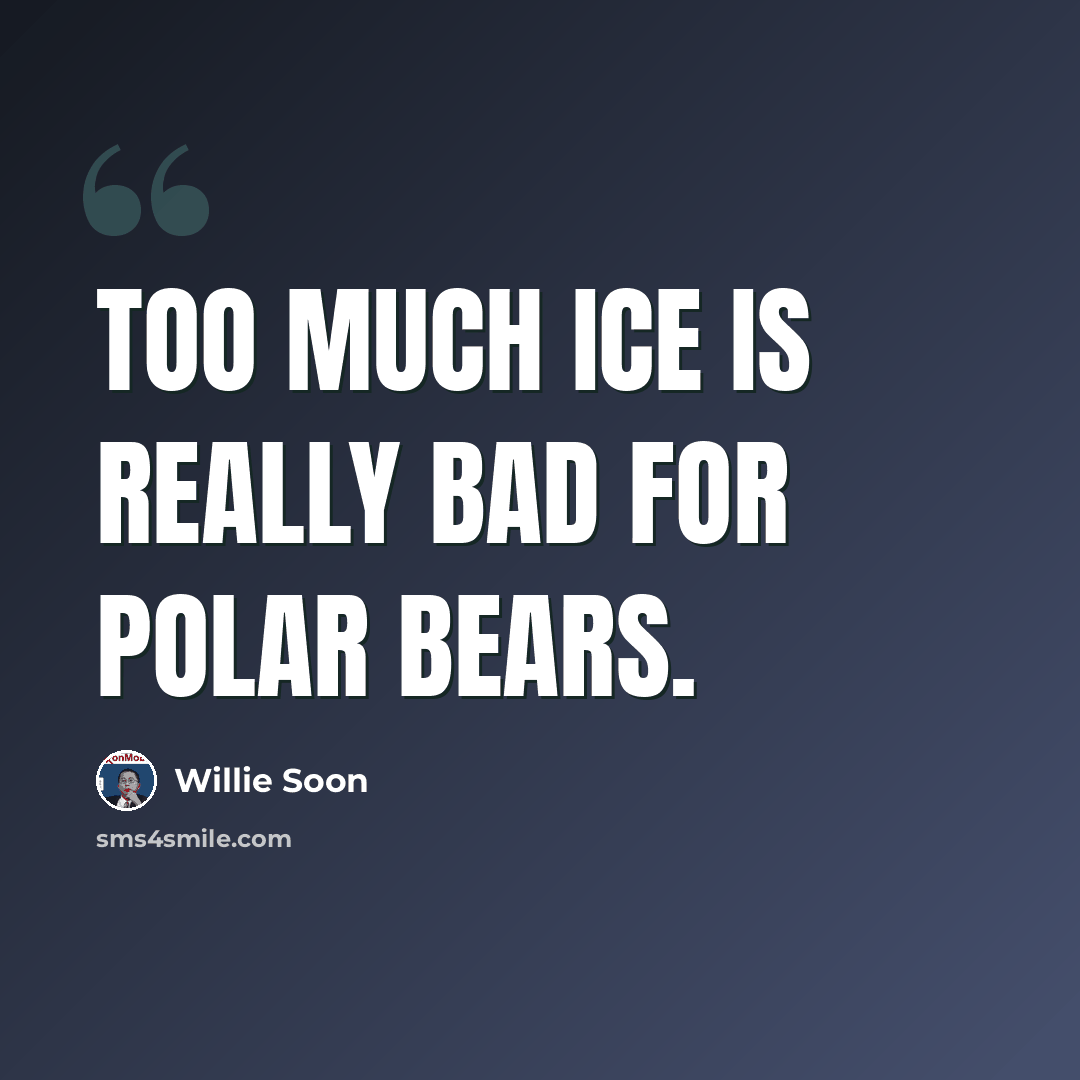 “Too much ice is really bad for polar bears.” quote by Willie Soon