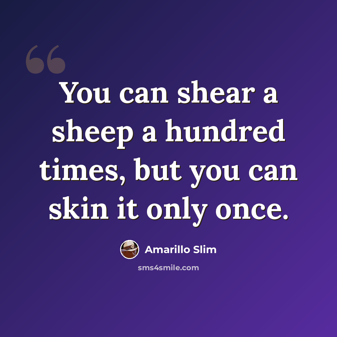 “You can shear a sheep a hundred times, but you can skin it only once.” quote by Amarillo Slim