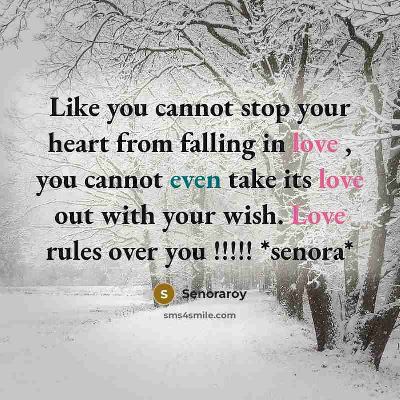 “Like you cannot stop your heart from falling in love , you cannot even take its love out with your wish. Love rules over you !!!!! *senora*” quote by Senoraroy