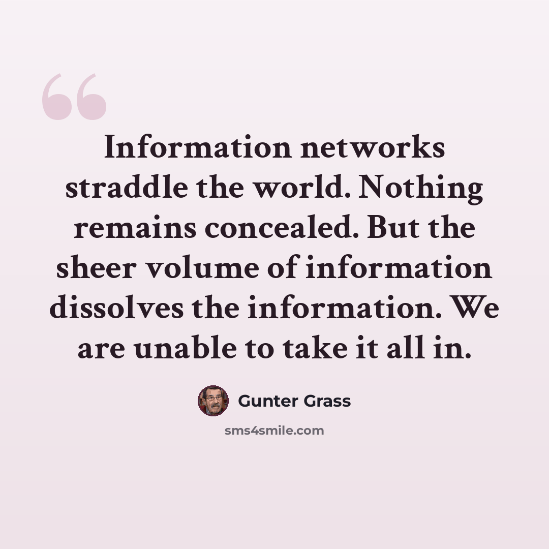 “Information networks straddle the world. Nothing remains concealed. But the sheer volume of information dissolves the information. We are unable to take it all in.” quote by Gunter Grass