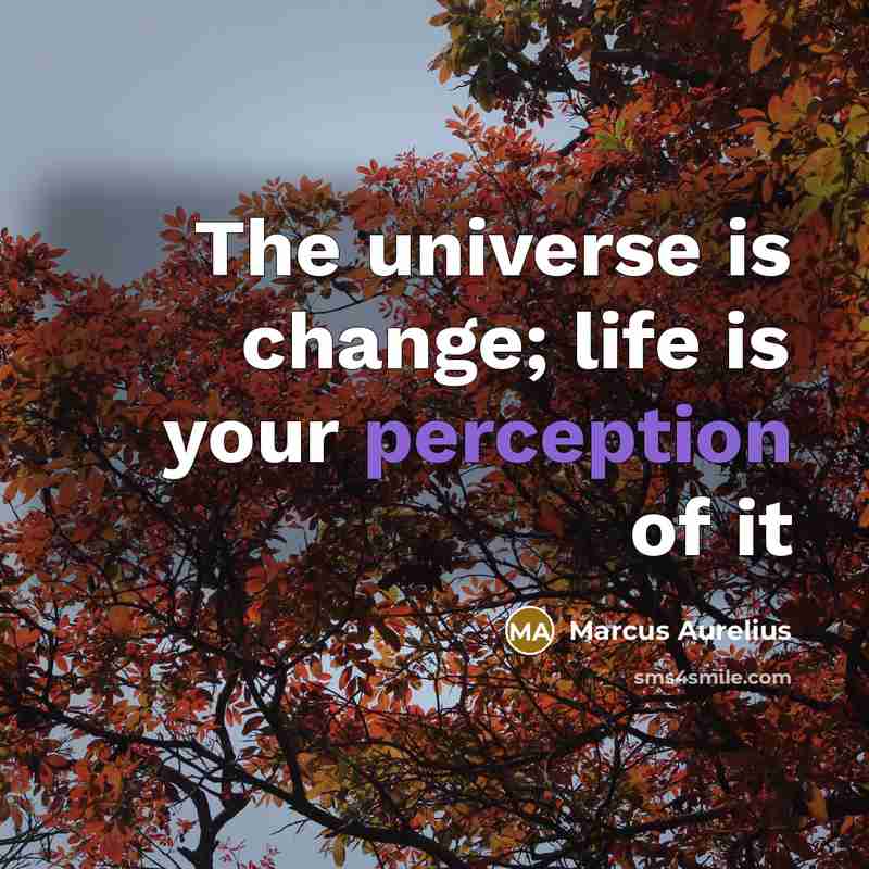 “The universe is change; life is your perception of it” quote by Marcus Aurelius