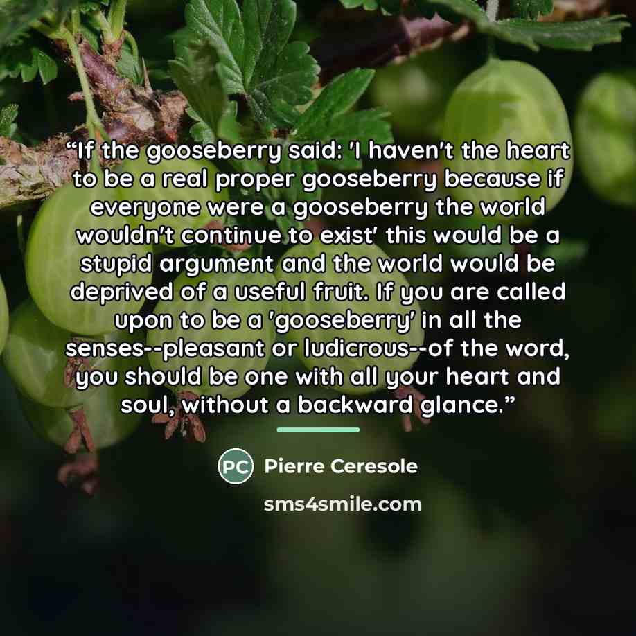 “If the gooseberry said: 'I haven't the heart to be a real proper gooseberry because if everyone were a gooseberry the world wouldn't continue to exist' this would be a stupid argument and the world would be deprived of a useful fruit. If you are called upon to be a 'gooseberry' in all the…” quote by Pierre Ceresole