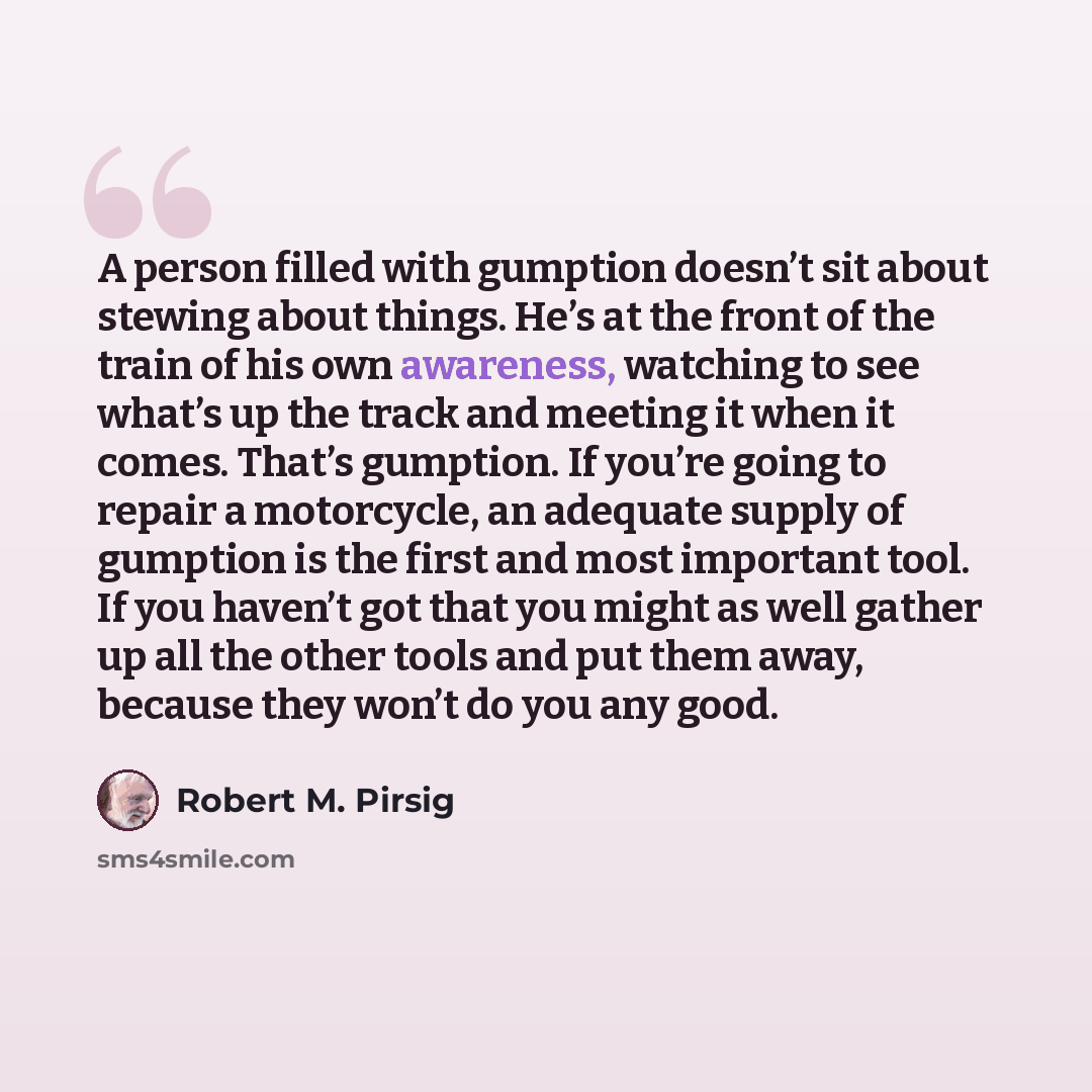 “A person filled with gumption doesn’t sit about stewing about things. He’s at the front of the train of his own awareness, watching to see what’s up the track and meeting it when it comes. That’s gumption. If you’re going to repair a motorcycle, an adequate supply of gumption is the first and most…” quote by Robert M. Pirsig