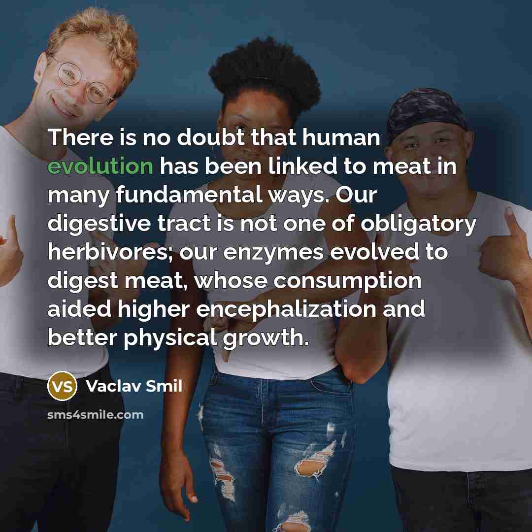 “There is no doubt that human evolution has been linked to meat in many fundamental ways. Our digestive tract is not one of obligatory herbivores; our enzymes evolved to digest meat, whose consumption aided higher encephalization and better physical growth.” quote by Vaclav Smil