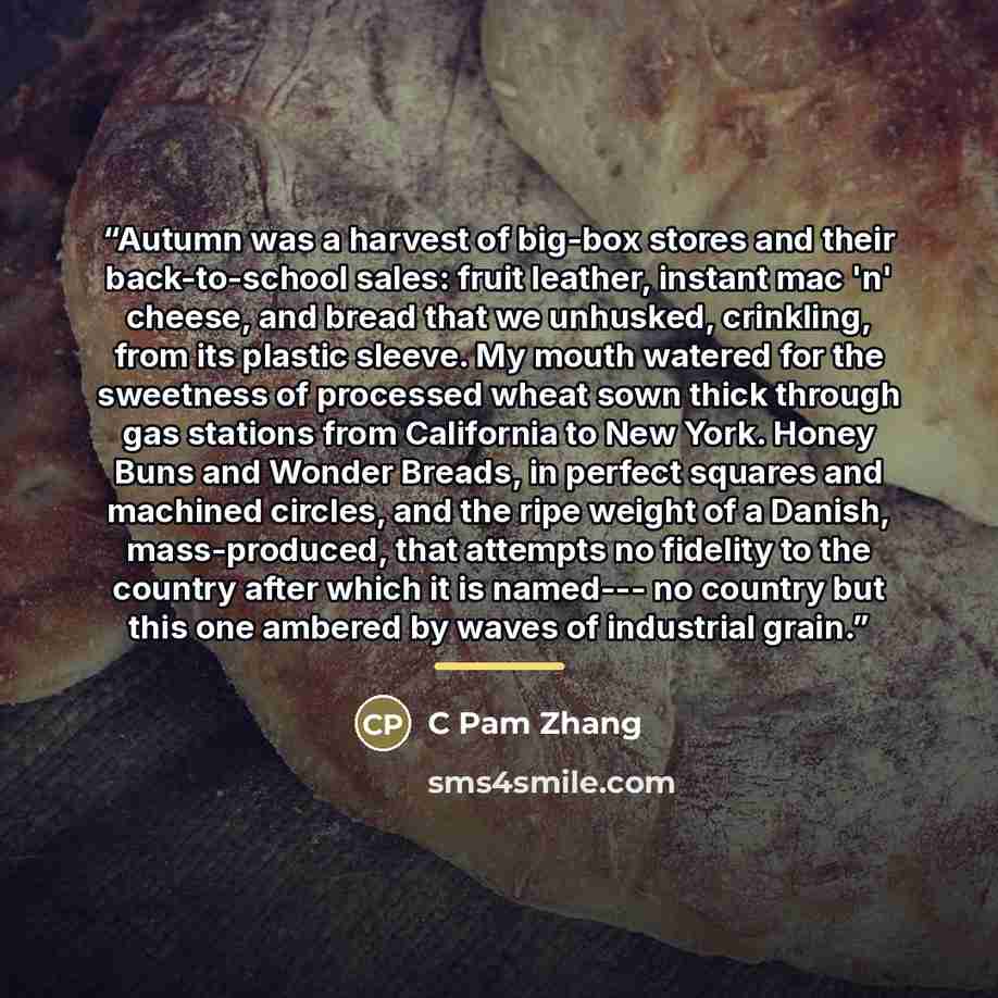 “Autumn was a harvest of big-box stores and their back-to-school sales: fruit leather, instant mac 'n' cheese, and bread that we unhusked, crinkling, from its plastic sleeve. My mouth watered for the sweetness of processed wheat sown thick through gas stations from California to New York. Honey…” quote by C Pam Zhang
