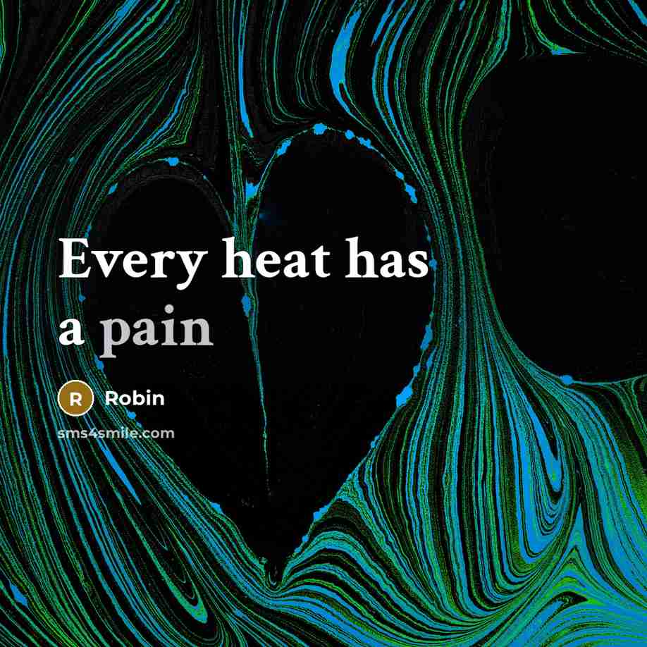 “Every heat has a pain” quote by Robin