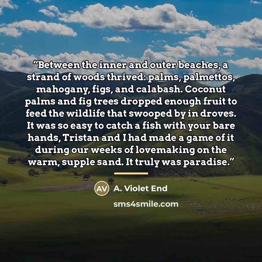 “Between the inner and outer beaches, a strand of woods thrived: palms, palmettos, mahogany, figs, and calabash. Coconut palms and fig trees dropped enough fruit to feed the wildlife that swooped by in droves. It was so easy to catch a fish with your bare hands, Tristan and I had made a game of it…” quote by A. Violet End