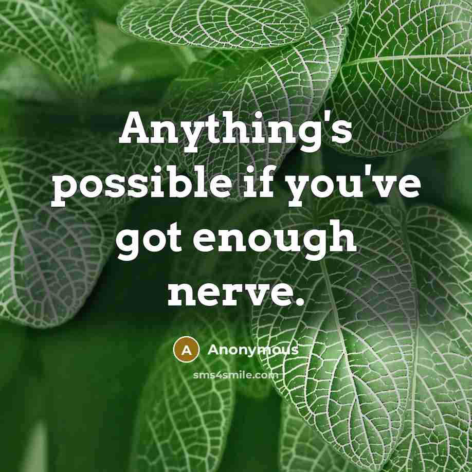 “Anything's possible if you've got enough nerve.” quote by Anonymous