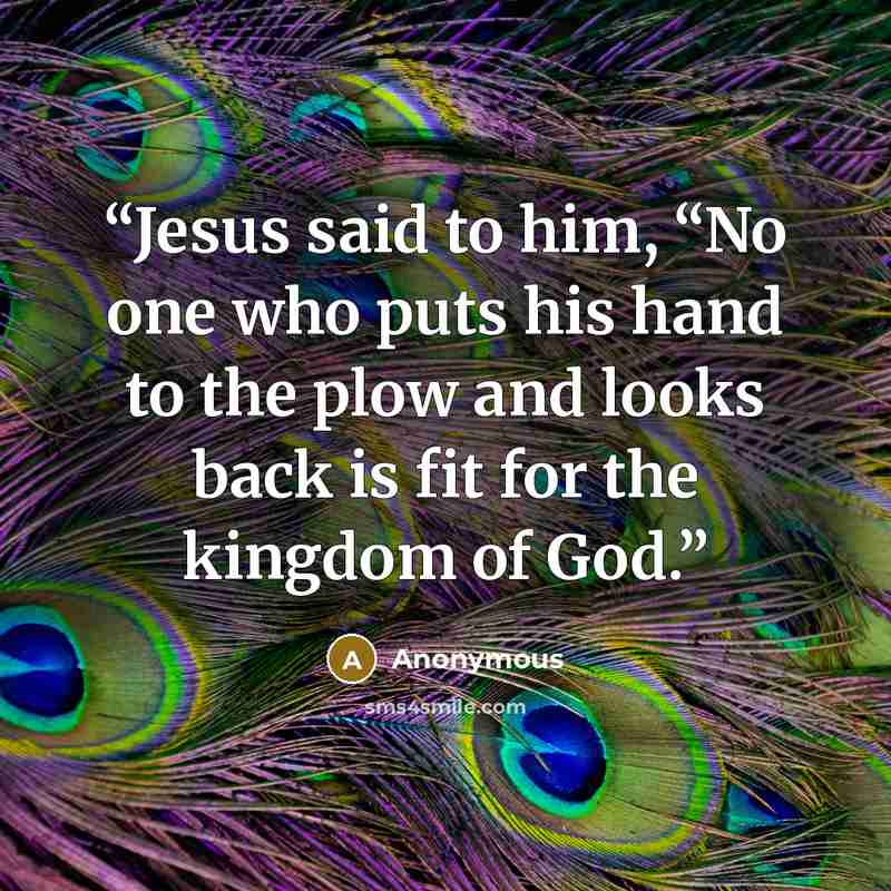 “Jesus said to him, “No one who puts his hand to the plow and looks back is fit for the kingdom of God.” quote by Anonymous