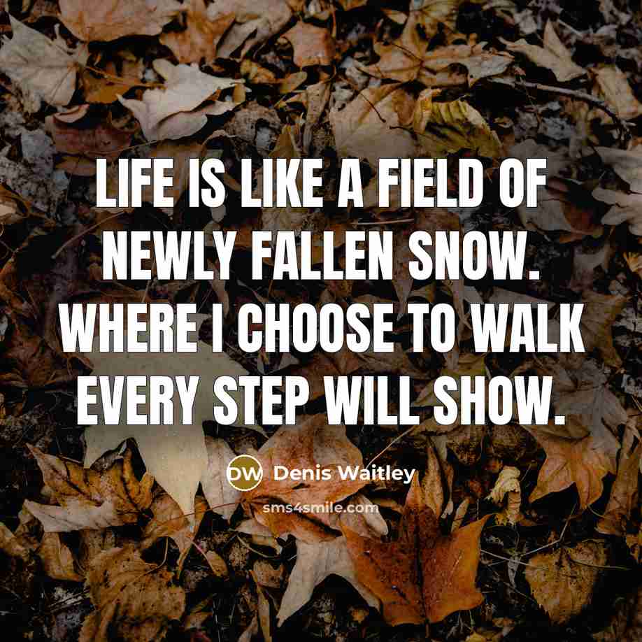 “Life is like a field of newly fallen snow. Where I choose to walk every step will show.” quote by Denis Waitley