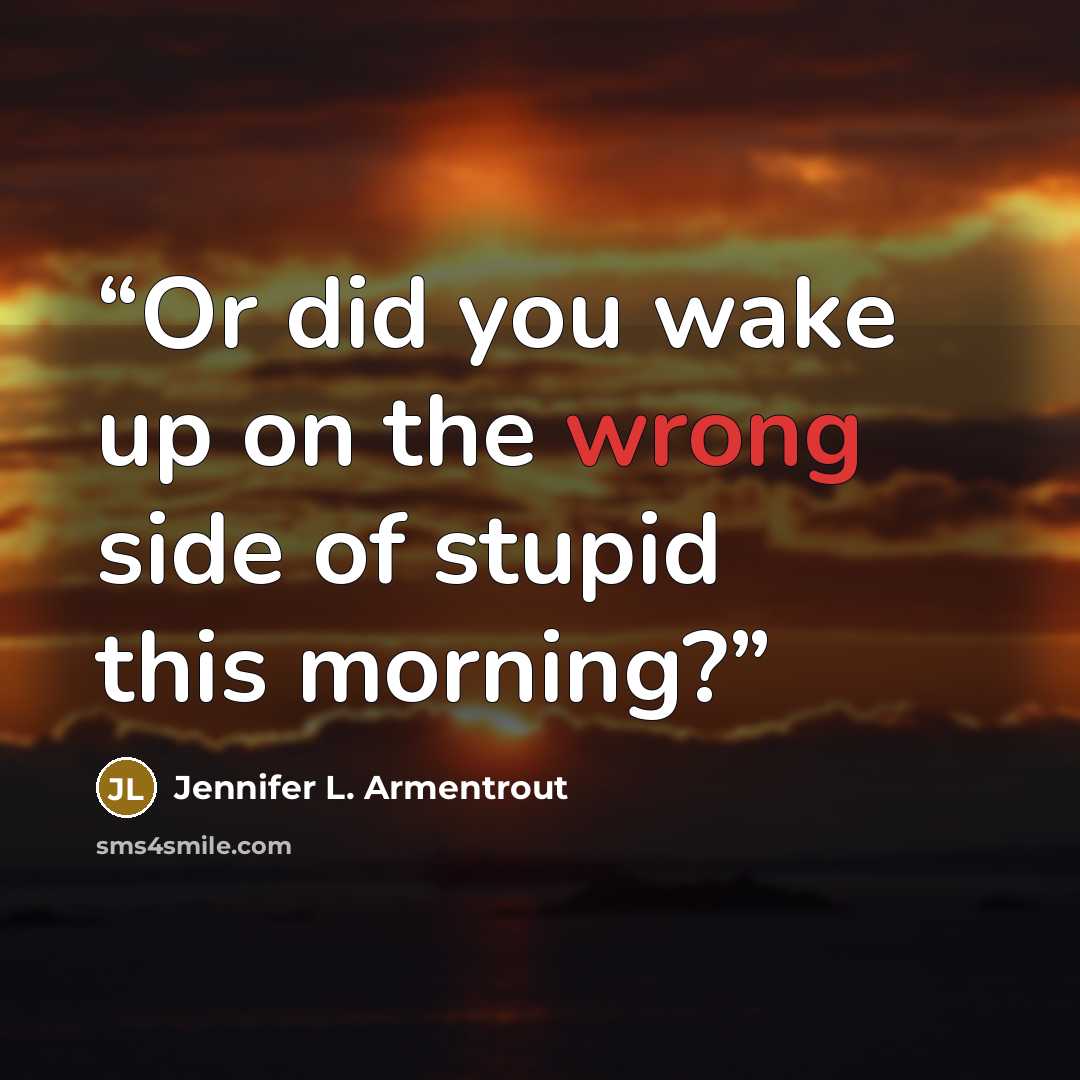 “Or did you wake up on the wrong side of stupid this morning?” quote by Jennifer L. Armentrout