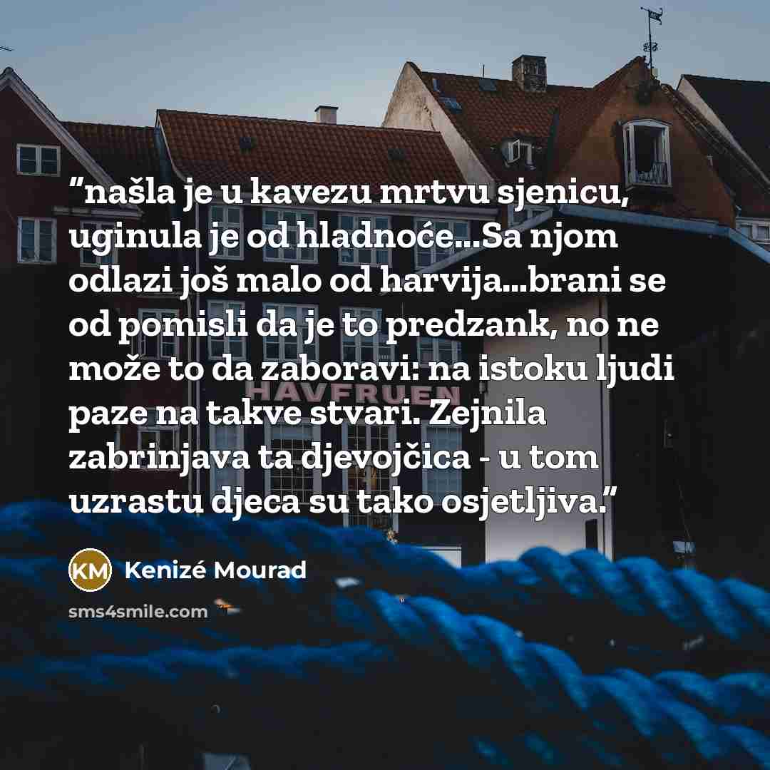 “našla je u kavezu mrtvu sjenicu, uginula je od hladnoće...Sa njom odlazi još malo od harvija…brani se od pomisli da je to predzank, no ne može to da zaboravi: na istoku ljudi paze na takve stvari. Zejnila zabrinjava ta djevojčica - u tom uzrastu djeca su tako osjetljiva.” quote by Kenizé Mourad