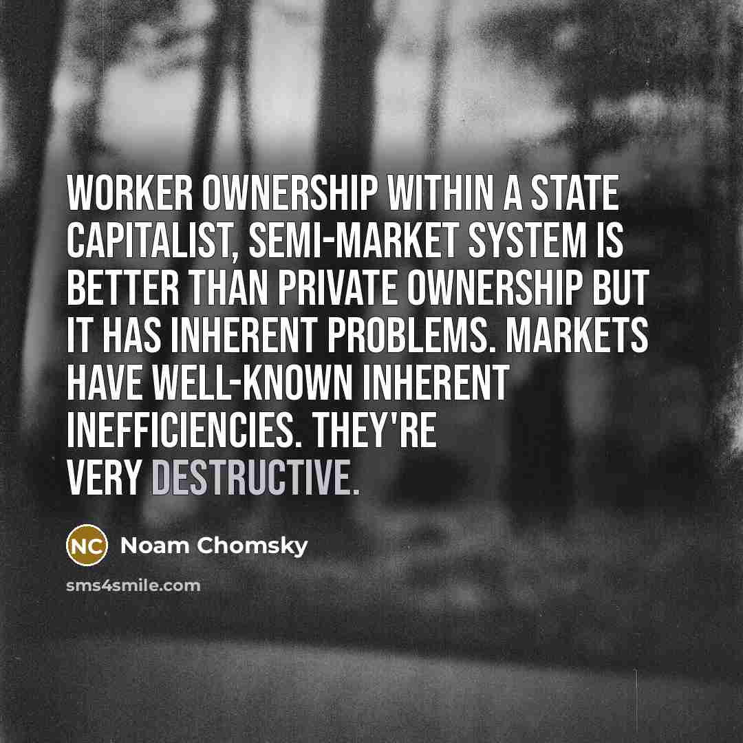 “Worker ownership within a state capitalist, semi-market system is better than private ownership but it has inherent problems. Markets have well-known inherent inefficiencies. They're very destructive.” quote by Noam Chomsky
